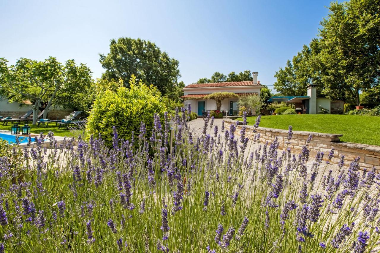 Villa Ferenc Rovinj Buitenkant foto